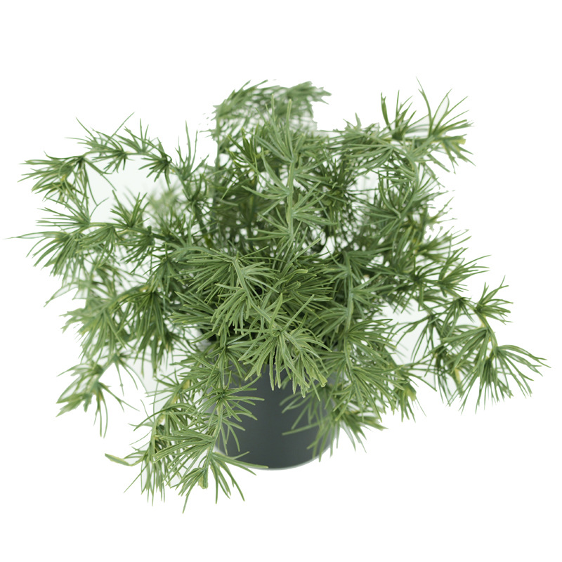Faux Pine Bonsai Tree, Realistic Artificial Mini Pine Potted Plant for Home Decor Tabletop