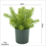 Round Pine Needle