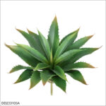 Green (old mold)