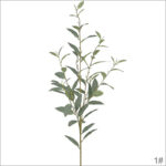 Gray Green (5 heads, 60 leaves)