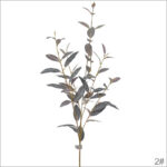 Purple (5 heads, 60 leaves)