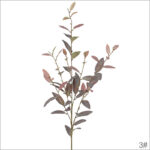 Autumn Brown (5 heads, 60 leaves)