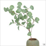 Green (6 heads, 47 leaves)