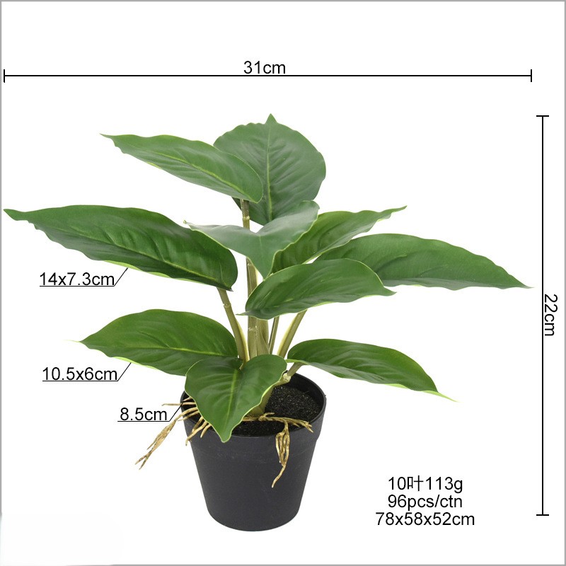 Faux Chinese Evergreen Plant 22cm, Realistic Artificial Aglaonema Potted Plant for Home Office Desk Decor
