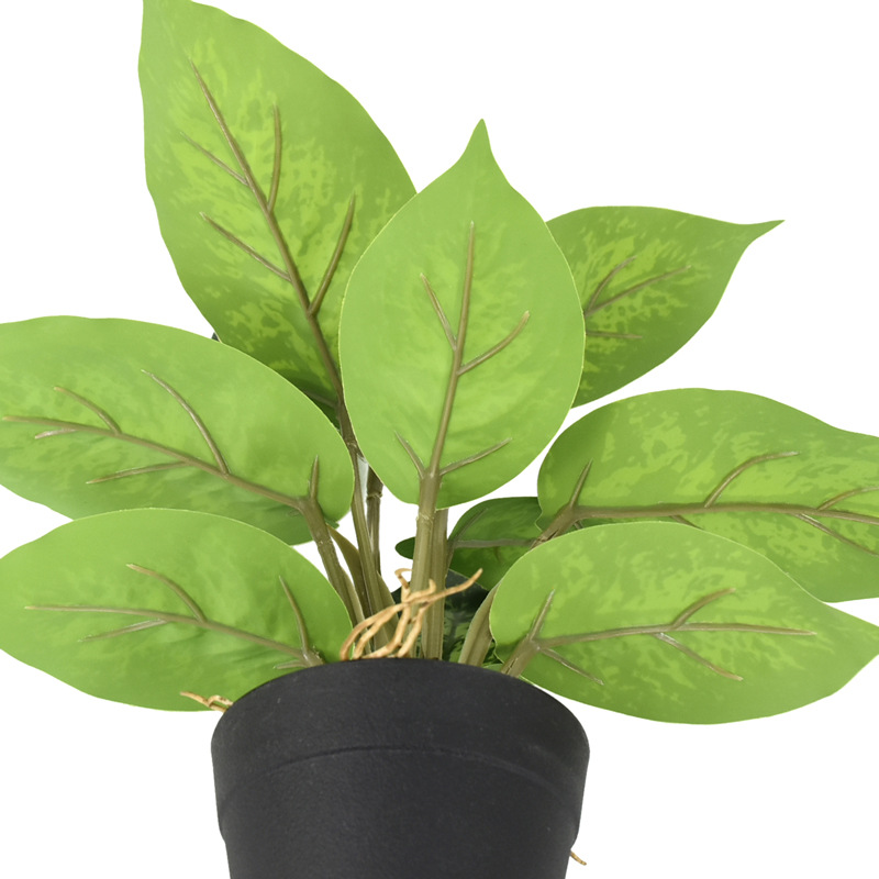 Faux Chinese Evergreen Plant 22cm, Realistic Artificial Aglaonema Potted Plant for Home Office Desk Decor