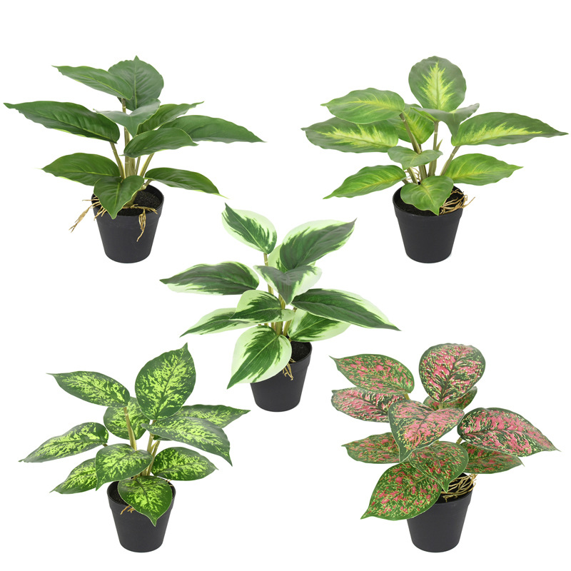 Faux Chinese Evergreen Plant 22cm, Realistic Artificial Aglaonema Potted Plant for Home Office Desk Decor