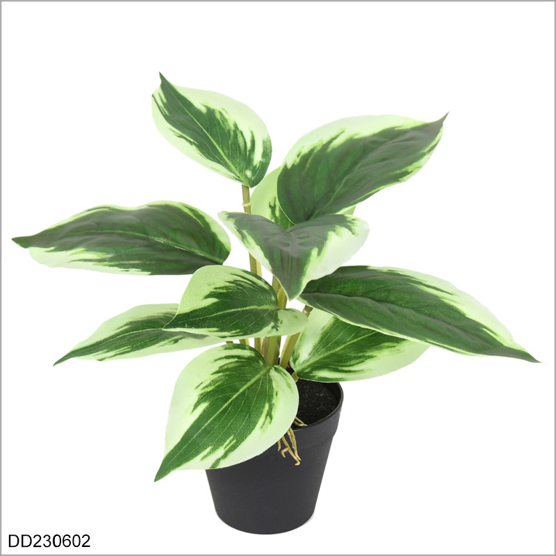 Faux Chinese Evergreen Plant 22cm, Realistic Artificial Aglaonema Potted Plant for Home Office Desk Decor
