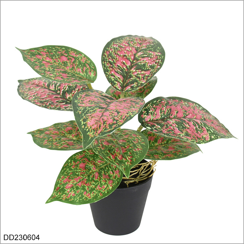Faux Chinese Evergreen Plant 22cm, Realistic Artificial Aglaonema Potted Plant for Home Office Desk Decor