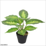 Green Yellow Center