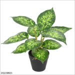 Green Spots